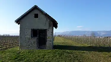 Grape grower's hut an Jura hills.