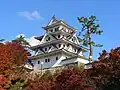 Autumn leaves and Gujo Hachiman Castle