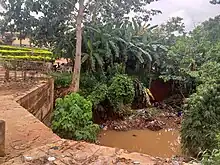 A picture of gully erosion at University of Nigeria Secondary School, Nsukka, Nigeria, South East.