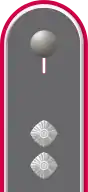 Jacke Dienstanzug Heeresuniformträger Panzertruppe