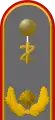 Generalarzt(Army Dental Officer with the equivalent rank of Brigadier General)