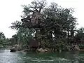 Tarzan's Treehouse at Hong Kong Disneyland