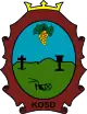 Coat of arms of Kosd