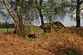 Megalithic chambered tomb "Dübberort I"