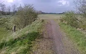 Trail North of Toftlund Forest