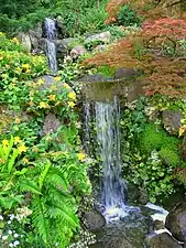 Hillside waterfall in the Hill and Pond Garden (2010)