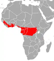 In Cameroon, Republic of the Congo, Democratic Republic of the Congo, Ivory Coast, Equatorial Guinea, Ghana, Guinea, Kenya, Liberia, Nigeria, Senegal, South Sudan, Togo, Uganda, possibly Gabon, and possibly Sierra Leone