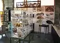 Museum exhibits