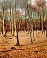 Wintry beech forest  (oil on ply wood, 1920)