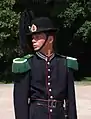 Guardsman