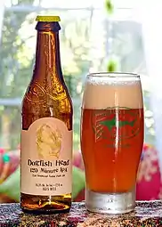 Dogfish Head120 Minute IPA