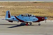 T-6 Texan II Efroni of the IAF Flight Academy and the IAF Aerobatic Team