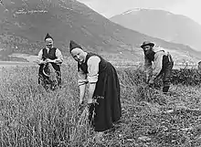 Image 4Harvesting oats at Fossum in Jølster during the 1880s (from History of Norway)