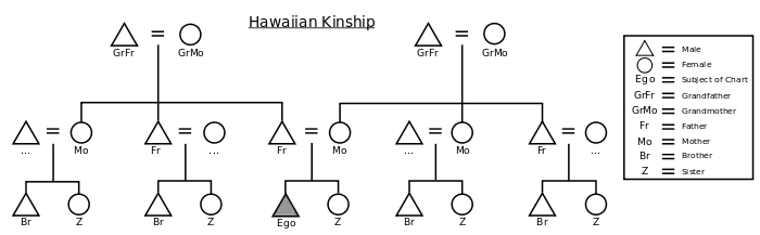 Graphic of the Hawaiian kinship system