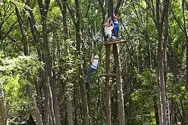 Ropes Course at the Heard