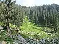 A view of the Hirpora Wildlife Sanctuary from the Mughal Road.