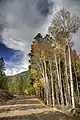 Fall Colors along Hell's Backbone Road