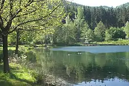 Helmbachweiher lake