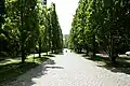 Entrance avenue to the park, looking out