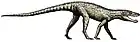 Hesperosuchus agilis