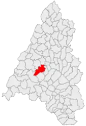 Location in Bihor County