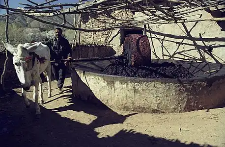 Olive mill. High Atlas