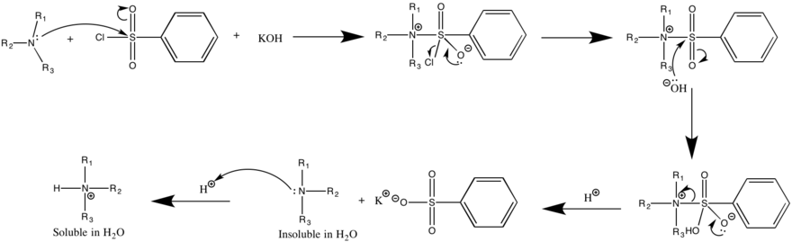 PhSO2Cl + R3N + H2O → R3NH+[PhSO−3] + HCl