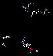 Positions of His and Cys residues in respect to active site (TPP and Mg) that participate in conformation changes when interacting with pyruvate substrate.