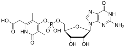 Hmd Catalyzed Reaction