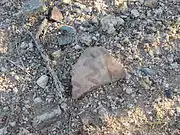 Hohokam pottery sherd in the Tucson Basin, with distinctive red paint.