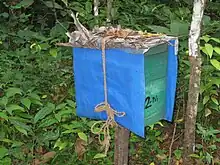 A teal coloured wooden box with blue coloured plastic cover.