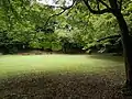 Honmaru Compound of Takiyama Castle