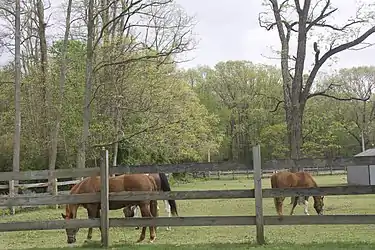 One of many horse farms in Howell