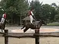 Equestrian skills displayed