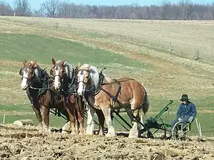 Plowing