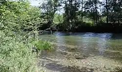 Clear Creek near Reading's Bar