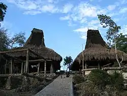 Houses in Tarung, Waitabar