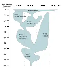 Image 31A reconstruction of human history based on fossil data. (from History of Earth)