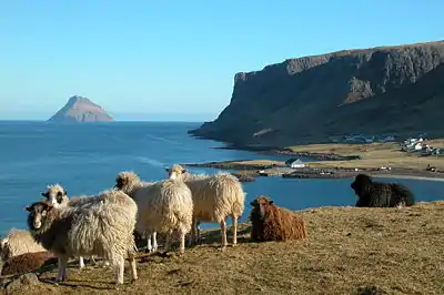 Hvalbiarfjørður, Lítla Dímun island in the background.