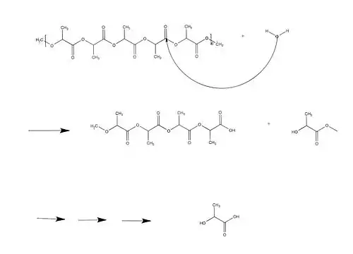 Hydrolytic Degradation of the aliphatic polyester, PLA.