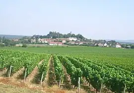 A general view of Jully-lès-Buxy