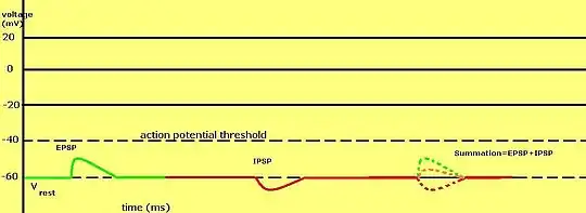 Graph shows how the IPSP hyperpolarizes the membrane and EPSP depolarizes the membrane. If the two are summed together, the action potential threshold is still not reached.