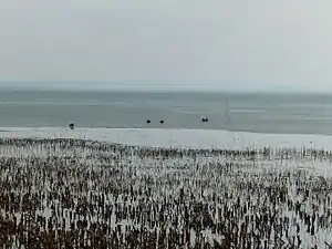 Image 31Ice melting on Lake Balaton in Hungary (from Lake)