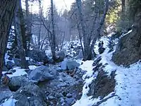 Along the Icehouse Canyon Trail