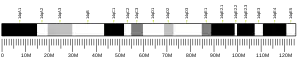 Chromosome 14 (mouse)