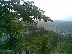 Typical grove in one of the valleys surrounding Idlib (2009).