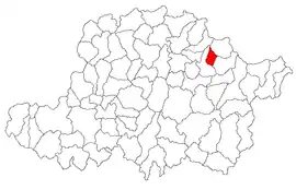 Location in Arad County