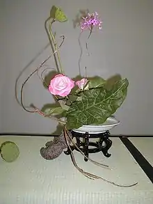 Bunjin with pink rose, evoking lotus scene