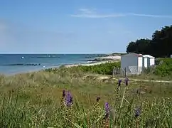 La plage des Sapins (Fir Tree Beach)