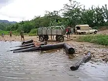 Eight rosewood logs lying at the riverside with nearby workers, a truck, and a cart